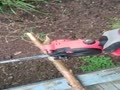 video pic